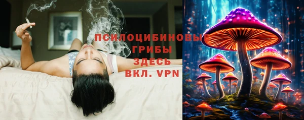 spice Аркадак