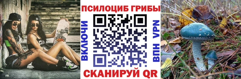 Галлюциногенные грибы мицелий Октябрьский