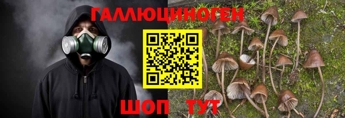 Псилоцибиновые грибы мицелий  Вход с VPN  Октябрьский 